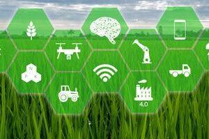 IoT-Gateway in der landwirtschaftlichen Umweltüberwachung