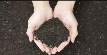 Die Rolle des IoT-Gateways bei der Überwachung der Bodenumgebung