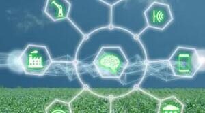 Edge Computing in der Landwirtschaft