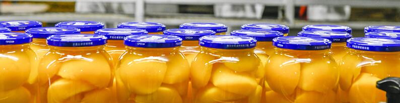 Maximierung der Effizienz bei der Konservenverarbeitung mit IoT-Gateways