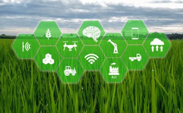 Top 5 Applications Of IoT In Agriculture - IOTROUTER