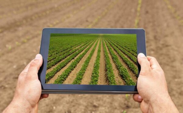 Top 5 Anwendungen des IoT in der Landwirtschaft - IOTROUTER