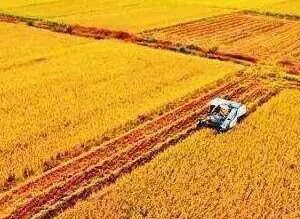 The Role of Edge Gateway in Large-Scale Food Production