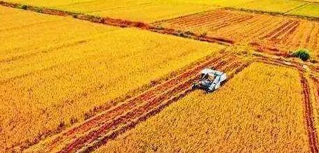 The Role of Edge Gateway in Large-Scale Food Production