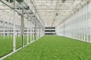 Wie lassen sich mit dem intelligenten IoT die Automatisierung der Landwirtschaft und die intelligente Aufrüstung realisieren?