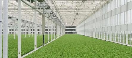 Wie lassen sich mit dem intelligenten IoT die Automatisierung der Landwirtschaft und die intelligente Aufrüstung realisieren?