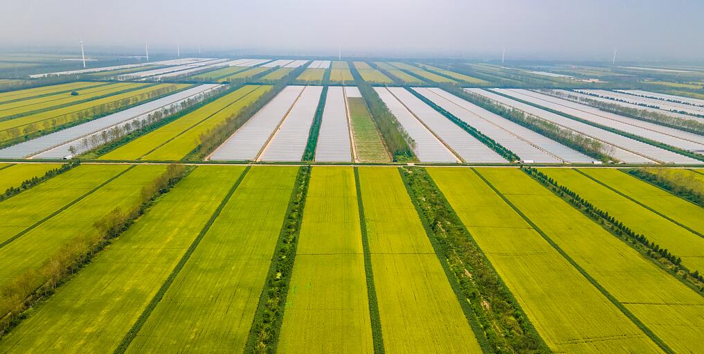 An Inventory of 10 Core Trends in China's Smart Agriculture Development 2 An Inventory of 10 Core Trends in China's Smart Agriculture Development