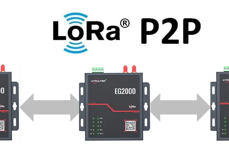LoRa Point-to-Point Transmission Solution