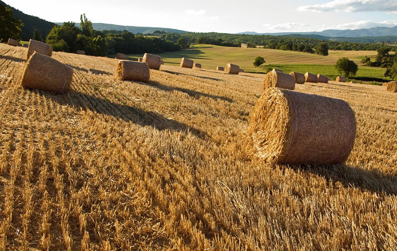 DTU/Edge Gateway/Plate-forme IoT/Module de passerelle