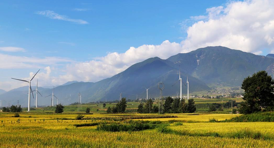 Development status of distribution automation at home and abroad