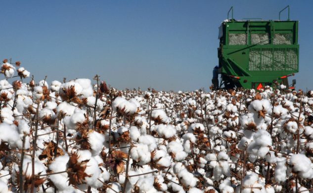 Application of LoRa wireless data transmission radio in Xinjiang cotton fields Application of LoRa wireless data transmission radio in Xinjiang cotton fields