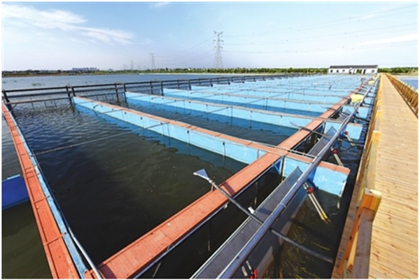 DTU/Edge Gateway/Plataforma IoT/Módulo Gateway