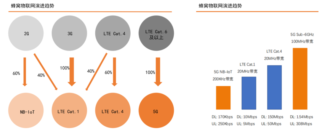 Domestic cellular Internet of things development