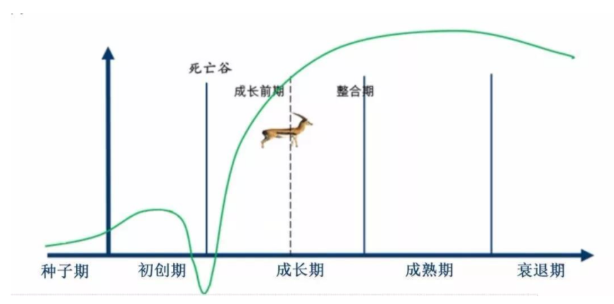 Qu'est-ce que Gazelle Enterprises ?