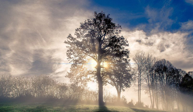 DTU/Edge Gateway/Plataforma IoT/Módulo Gateway